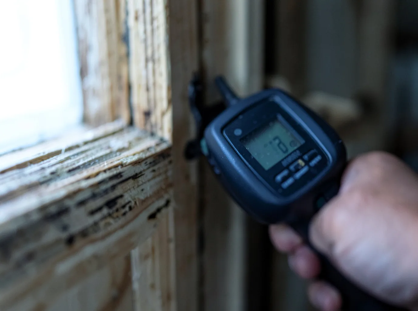 Moisture Inspection And Documentation in Nekoosa, WI